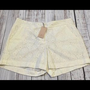 Women Shorts